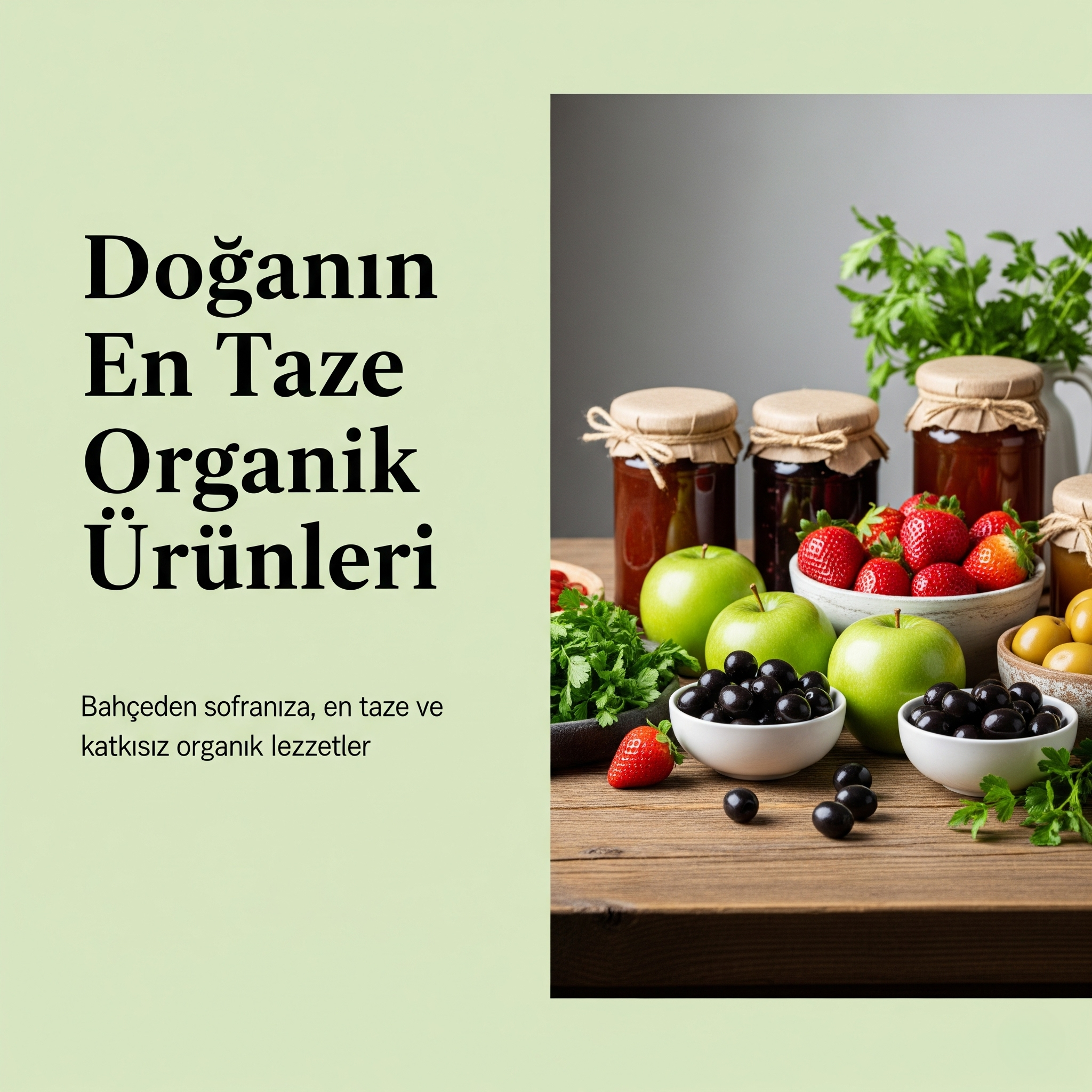 Organik Ürünler